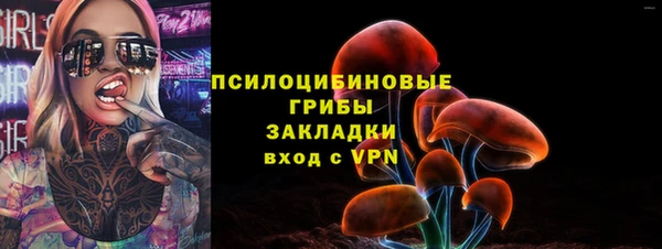 тгк Медногорск