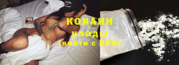гашик Мегион