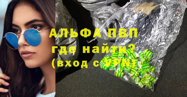 гашик Мегион