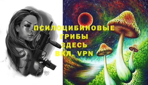 МДМА Медвежьегорск