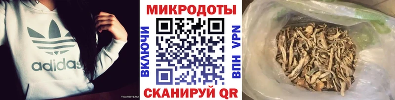 цены наркотик  Новоульяновск  Псилоцибиновые грибы ЛСД 